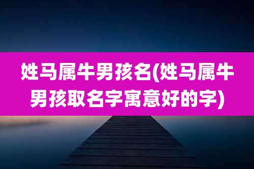 姓马属牛男孩名(姓马属牛男孩取名字寓意好的字)