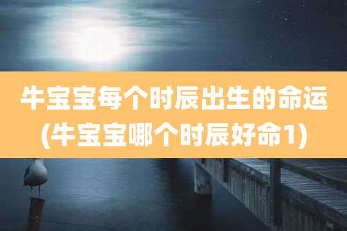 牛宝宝每个时辰出生的命运(牛宝宝哪个时辰好命1)