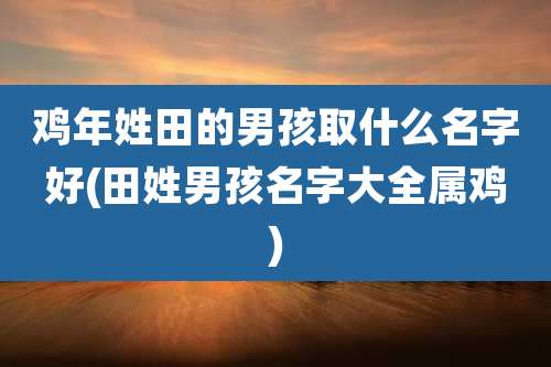 鸡年姓田的男孩取什么名字好(田姓男孩名字大全属鸡)