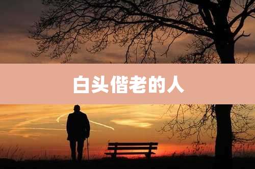 白头偕老的人