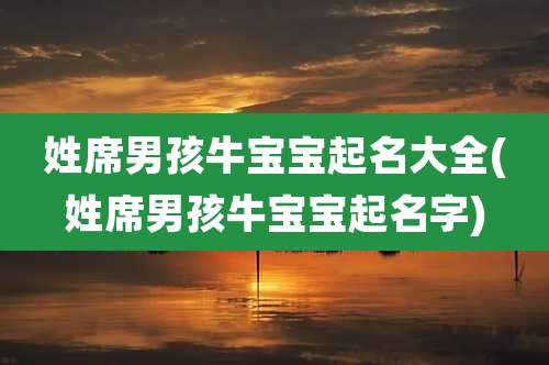 姓席男孩牛宝宝起名大全(姓席男孩牛宝宝起名字)