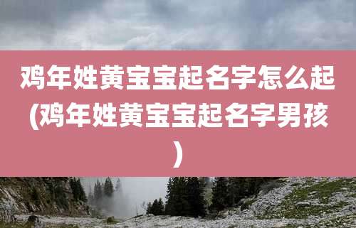 鸡年姓黄宝宝起名字怎么起(鸡年姓黄宝宝起名字男孩)