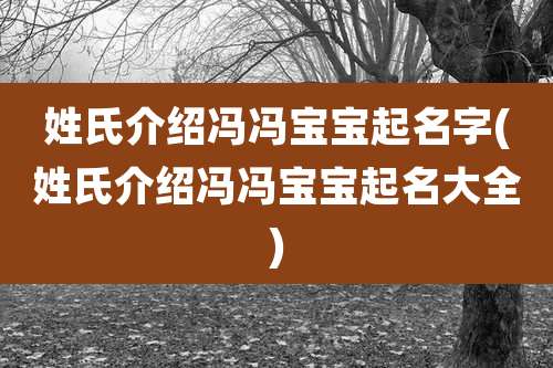 姓氏介绍冯冯宝宝起名字(姓氏介绍冯冯宝宝起名大全)
