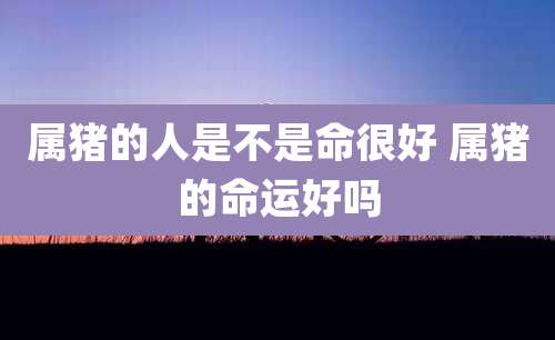 属猪的人是不是命很好 属猪的命运好吗