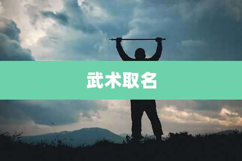 武术取名