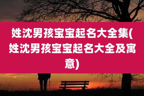 姓沈男孩宝宝起名大全集(姓沈男孩宝宝起名大全及寓意)