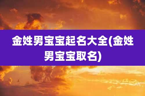 金姓男宝宝起名大全(金姓男宝宝取名)