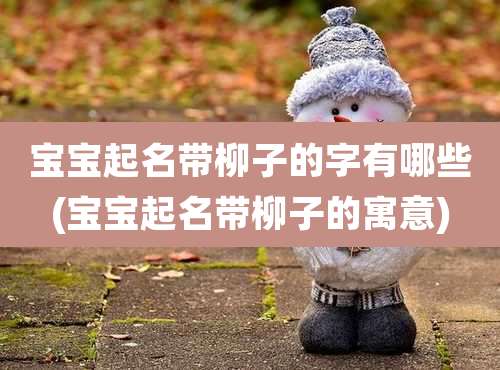 宝宝起名带柳子的字有哪些(宝宝起名带柳子的寓意)