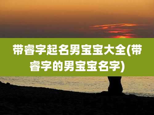 带睿字起名男宝宝大全(带睿字的男宝宝名字)