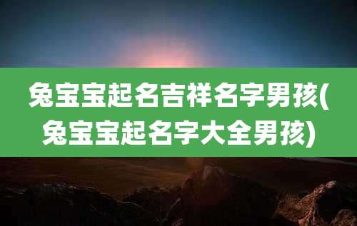 兔宝宝起名吉祥名字男孩(兔宝宝起名字大全男孩)