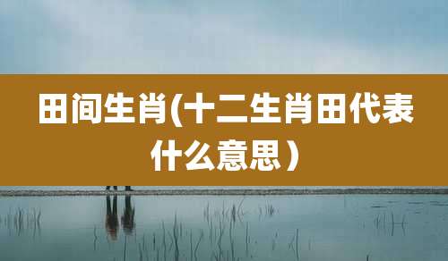 田间生肖(十二生肖田代表什么意思)