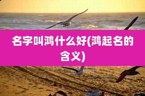 名字叫鸿什么好(鸿起名的含义)