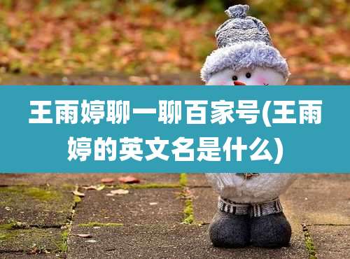 王雨婷聊一聊百家号(王雨婷的英文名是什么)