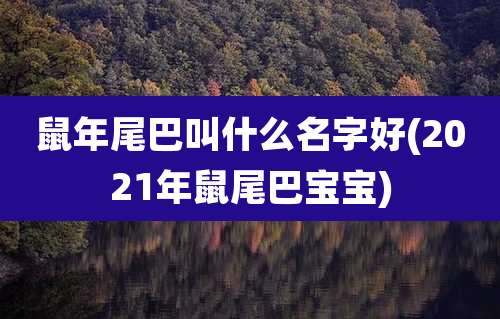 鼠年尾巴叫什么名字好(2021年鼠尾巴宝宝)