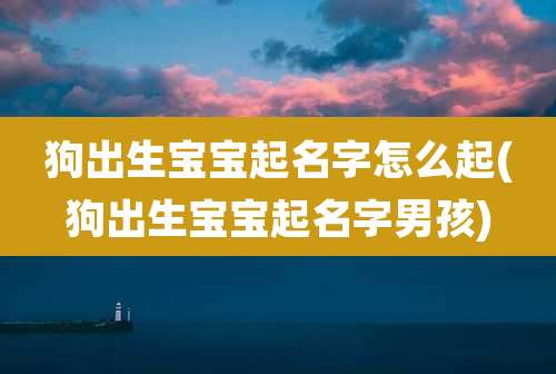 狗出生宝宝起名字怎么起(狗出生宝宝起名字男孩)