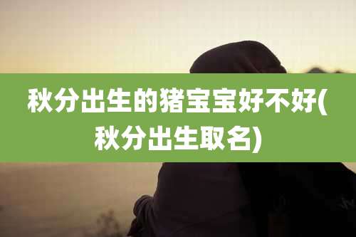 秋分出生的猪宝宝好不好(秋分出生取名)