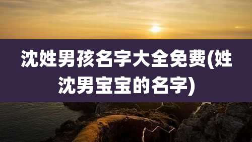 沈姓男孩名字大全免费(姓沈男宝宝的名字)