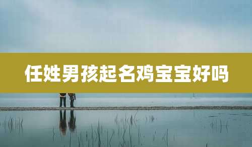 任姓男孩起名鸡宝宝好吗