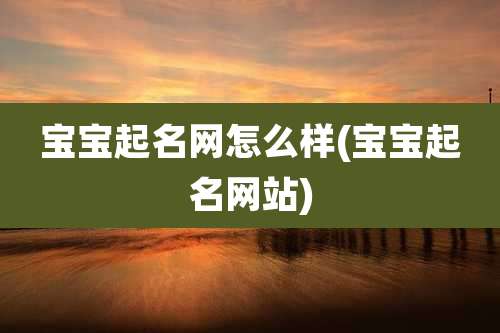 宝宝起名网怎么样(宝宝起名网站)