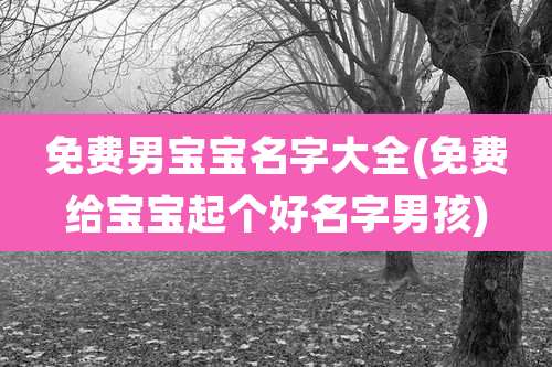 免费男宝宝名字大全(免费给宝宝起个好名字男孩)