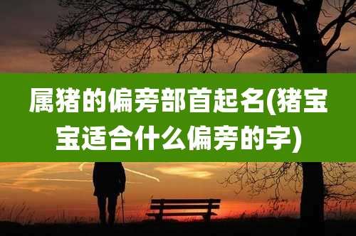 属猪的偏旁部首起名(猪宝宝适合什么偏旁的字)