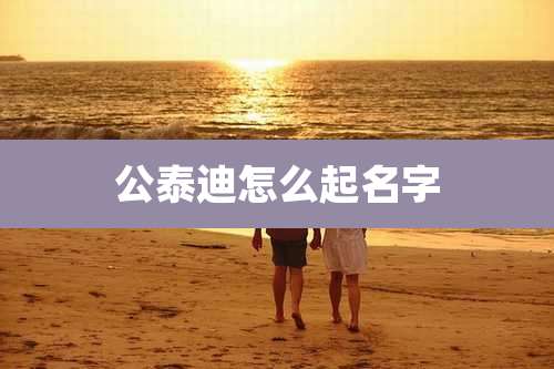 公泰迪怎么起名字