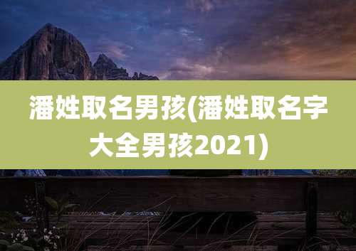潘姓取名男孩(潘姓取名字大全男孩2021)