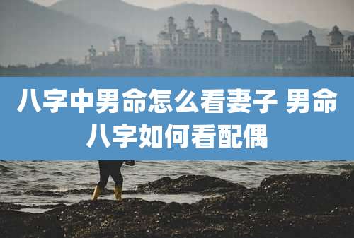 八字中男命怎么看妻子 男命八字如何看配偶