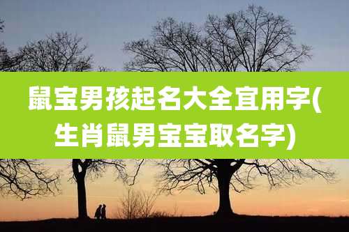 鼠宝男孩起名大全宜用字(生肖鼠男宝宝取名字)