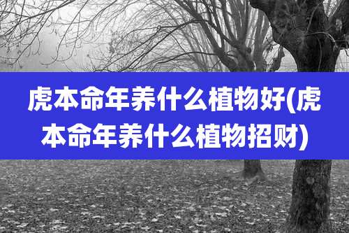 虎本命年养什么植物好(虎本命年养什么植物招财)