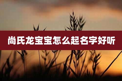 尚氏龙宝宝怎么起名字好听