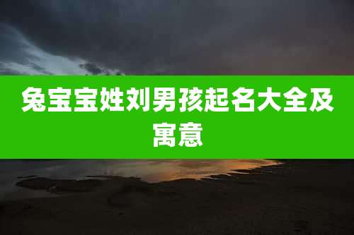 兔宝宝姓刘男孩起名大全及寓意