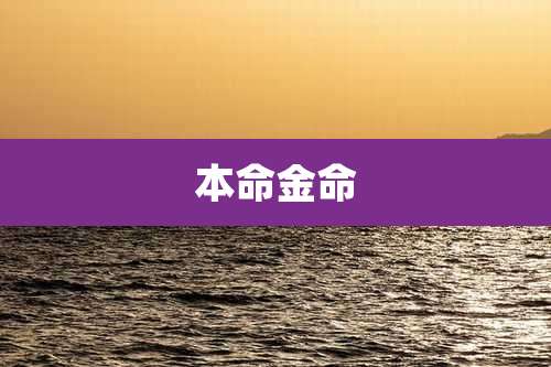 本命金命