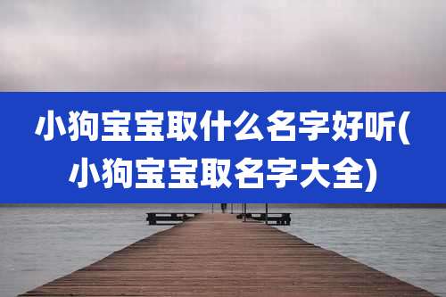 小狗宝宝取什么名字好听(小狗宝宝取名字大全)