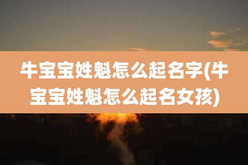 牛宝宝姓魁怎么起名字(牛宝宝姓魁怎么起名女孩)