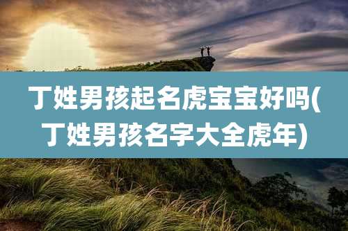 丁姓男孩起名虎宝宝好吗(丁姓男孩名字大全虎年)