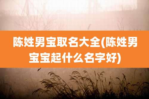 陈姓男宝取名大全(陈姓男宝宝起什么名字好)