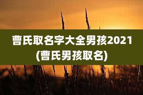 曹氏取名字大全男孩2021(曹氏男孩取名)