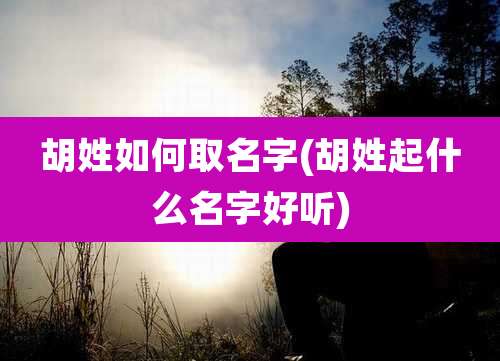 胡姓如何取名字(胡姓起什么名字好听)