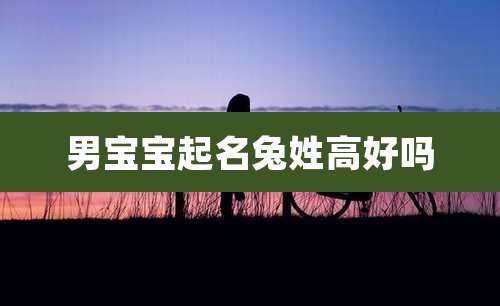 男宝宝起名兔姓高好吗
