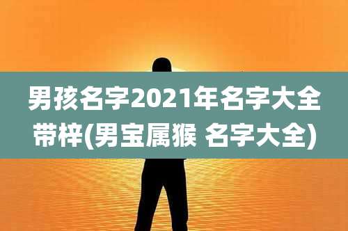 男孩名字2021年名字大全带梓(男宝属猴 名字大全)