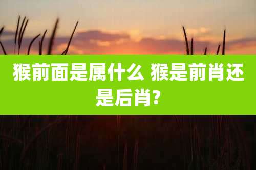 猴前面是属什么 猴是前肖还是后肖?