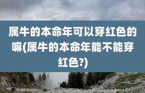 属牛的本命年可以穿红色的嘛(属牛的本命年能不能穿红色?)
