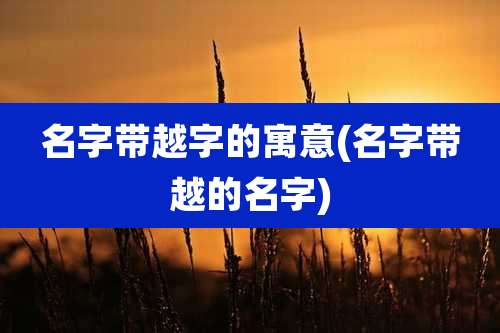 名字带越字的寓意(名字带越的名字)