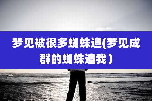 梦见被很多蜘蛛追(梦见成群的蜘蛛追我）