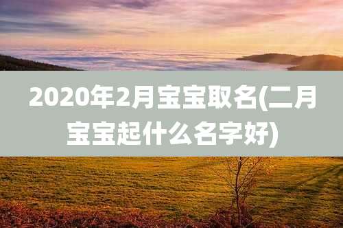 2020年2月宝宝取名(二月宝宝起什么名字好)