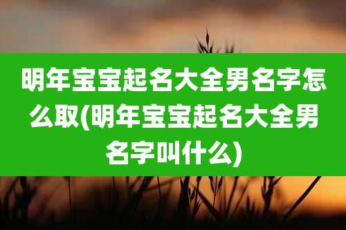明年宝宝起名大全男名字怎么取(明年宝宝起名大全男名字叫什么)