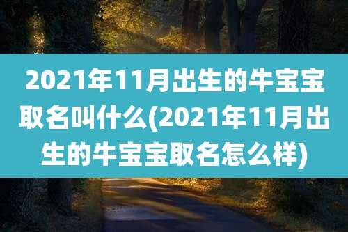 2021年11月出生的牛宝宝取名叫什么(2021年11月出生的牛宝宝取名怎么样)