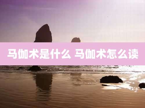 马伽术是什么 马伽术怎么读