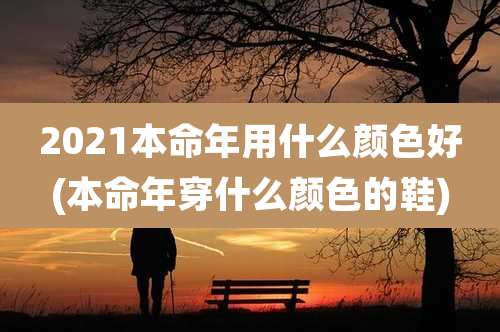 2021本命年用什么颜色好(本命年穿什么颜色的鞋)
